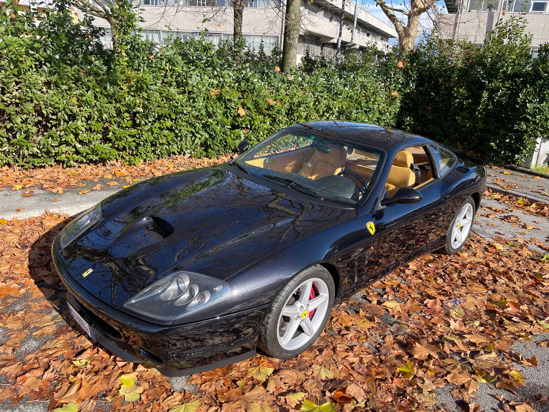 Ferrari 575 5.8 M Maranello F1 - foto 5