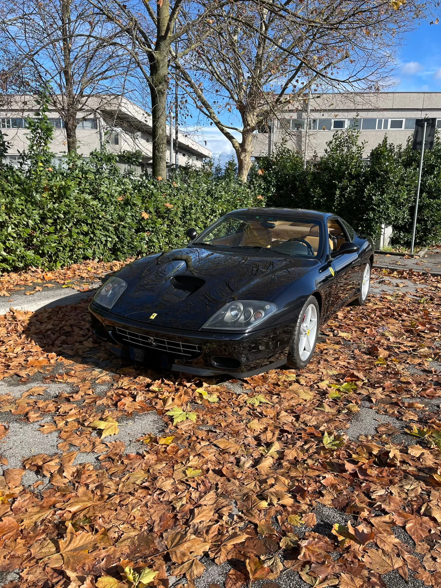 Ferrari 575 5.8 M Maranello F1 - foto 4